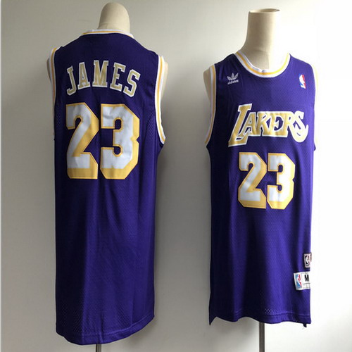 Personalized Lakers 23 Lebron James Purple Hardwood Classics Jersey
