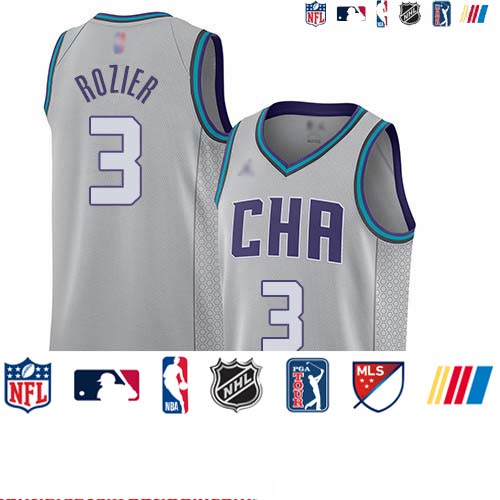 Personalized Hornets #3 Terry Rozier Gray Basketball Jordan Swingman City Edition 2019 20 Jersey