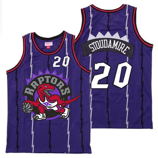 Personalized Raptors 20 Damon Stoudamire Purple Big Logo Retro Jersey 11