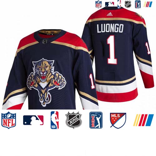 Personalized Florida Panthers #1 Roberto Luongo Black Men’s 2020-21 Reverse Retro Alternate NHL Jersey