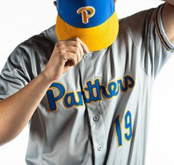 Personalized Custom PITT Pittsburgh Panthers Gray Baseball Jersey
