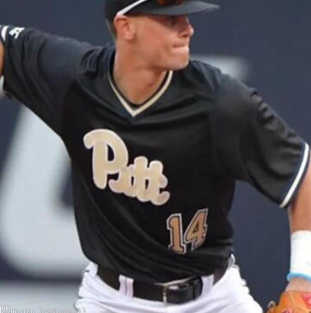 Personalized Custom PITT Pittsburgh Panthers Black Baseball Jersey