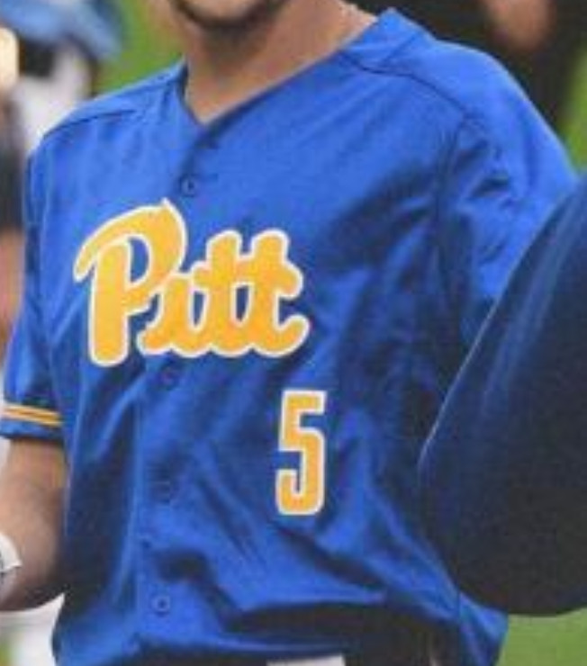 Personalized Custom PITT Pittsburgh Panthers Blue Baseball Jerseys