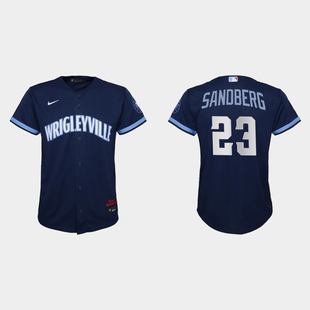 Personalized Chicago Cubs #23 Ryne Sandberg Youth 2021 City Connect Navy MLB Jersey