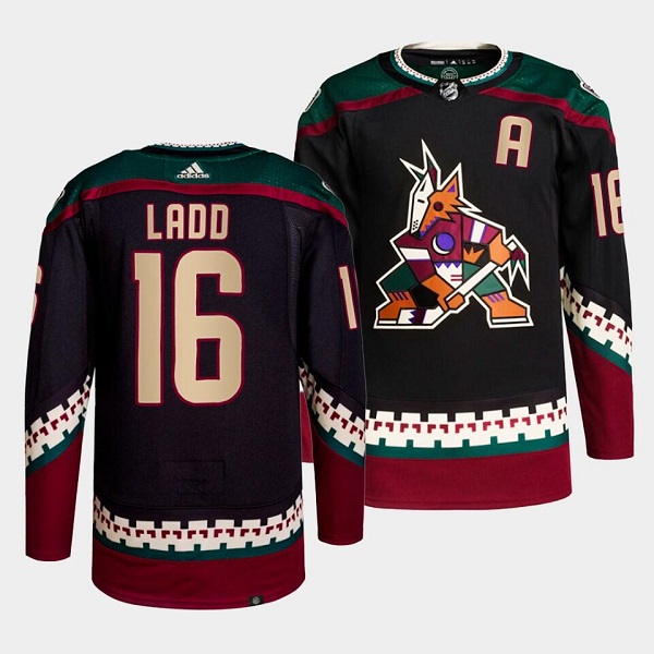 Personalized Men’s Arizona Coyotes #16 Andrew Ladd Black Stitched Jersey