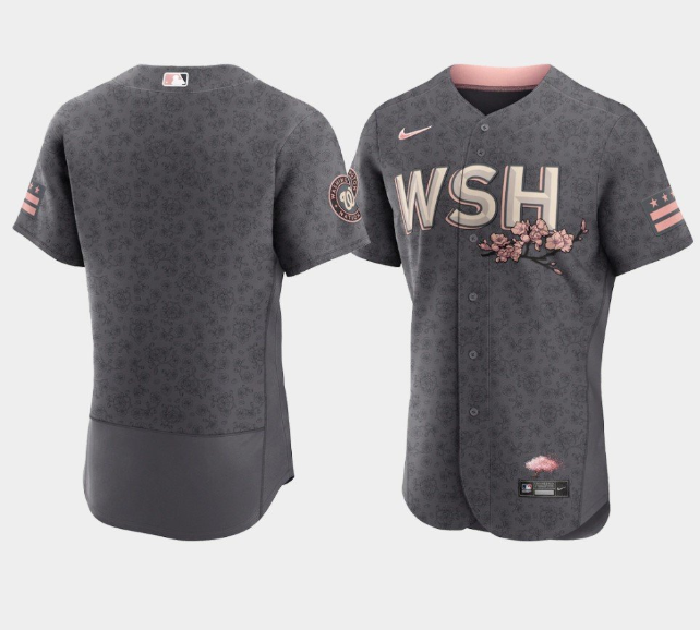 Personalized Men’s Washington Nationals Blank 2022 Grey City Connect Cherry Blossom Flex Base Stitched MLB Jersey