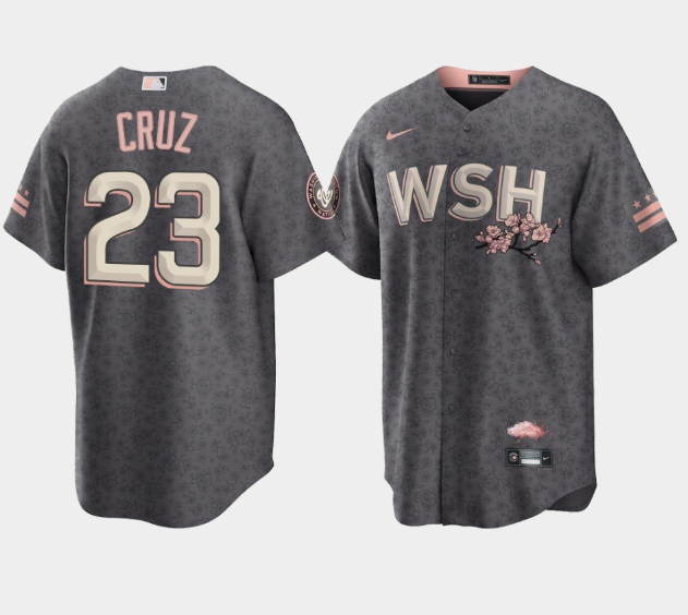 Personalized Men’s Washington Nationals #23 Nelson Cruz 2022 Grey City Connect Cherry Blossom Cool Base Stitched Jersey