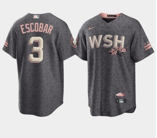 Personalized Men’s Washington Nationals #3 Alcides Escobar 2022 Grey City Connect Cherry Blossom Cool Base Stitched Jersey