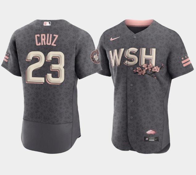 Personalized Men’s Washington Nationals #23 Nelson Cruz 2022 Grey City Connect Cherry Blossom Flex Base Stitched MLB Jersey
