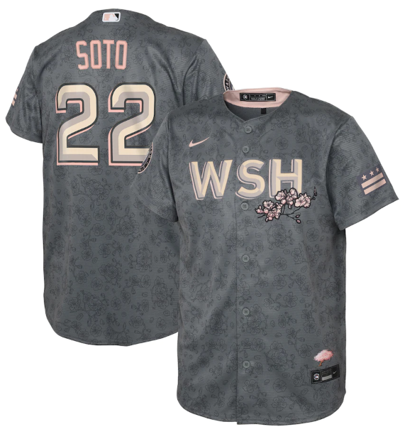 Personalized Youth Washington Nationals #22 Juan Soto 2022 Grey City Connect Cherry Blossom Stitched Baseball Jersey