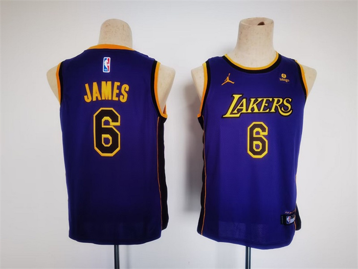 Personalized Youth Los Angeles Lakers #6 LeBron James Purple Stitched Basketball Jersey
