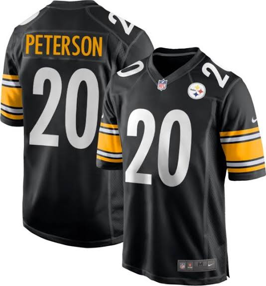 Personalized Men’s Pittsburgh Steelers #20 Peterson Black Untouchable Limited Stitched