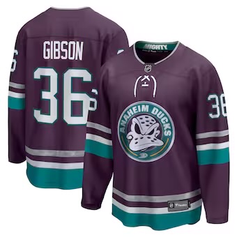 Personalized Men’s Anaheim Ducks #36 John Gibson Stitched Purple Jersey