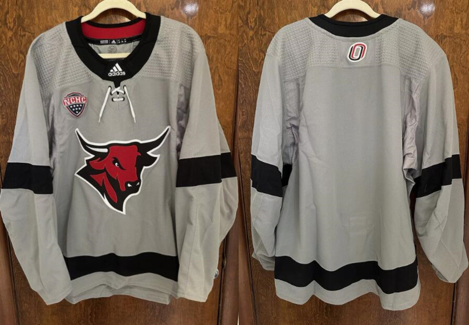 Personalized Men’s Omaha Mavericks Grey Stitched Hockey Jersey