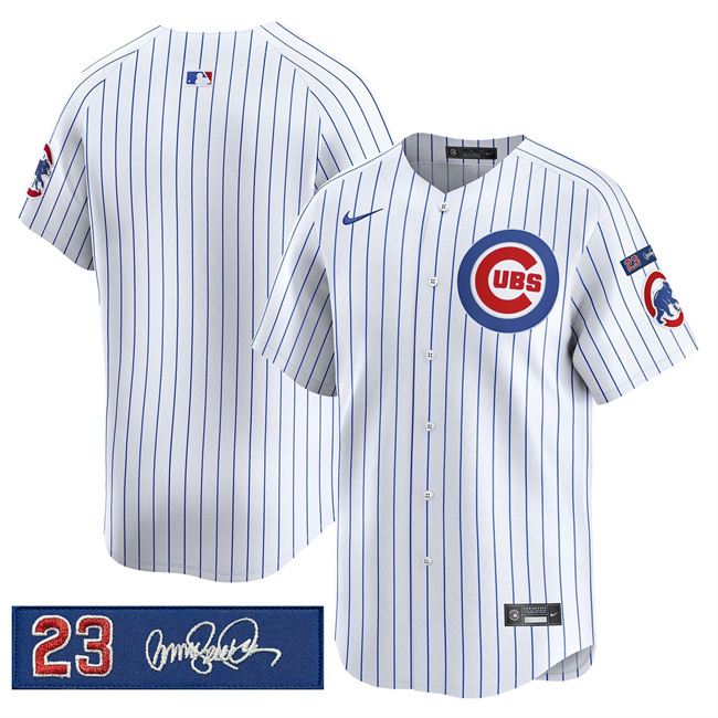 Personalized Men’s Chicago Cubs Blank White Pinstripe ‘Ryne Sandberg Tribute’ Limited V3 Stitched Baseball Jersey
