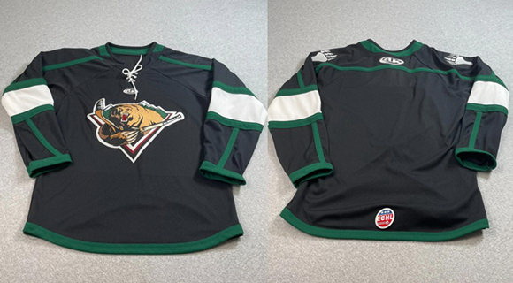 Personalized Men’s Utah Grizzlies AK Blank Black Stitched Hockey Jersey