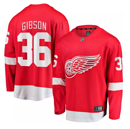 Personalized Men’s Detroit Red Wings #36 John Gibson Red Home Stitched Hockey Jersey