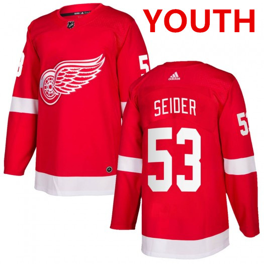 Personalized Youth Detroit Red Wings #53 Moritz Seider Red Home Hockey Stitched NHL Jersey