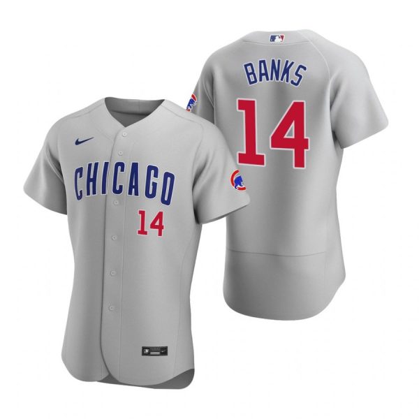 Personalized Men’s Ernie Banks Chicago Cubs Flex Base Jersey Gray