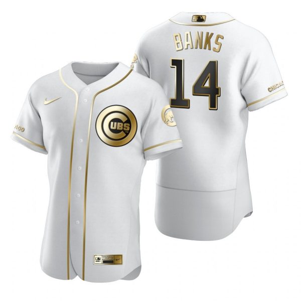 Personalized Men’s Ernie Banks Chicago Cubs Flex Base Jersey White Golden