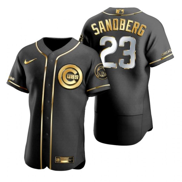 Personalized Men’s Ryne Sandberg Chicago Cubs Flex Base Jersey Black Golden