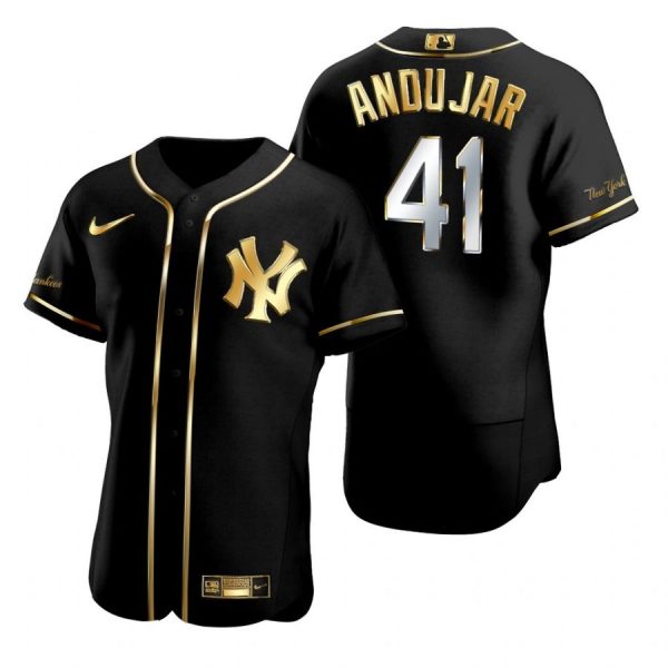 Personalized Men’s Miguel Andujar New York Yankees Flex Base Jersey Black Golden