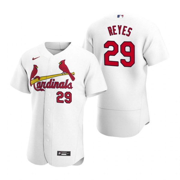 Personalized Men’s Alex Reyes St. Louis Cardinals Flex Base Jersey Black Holographic White