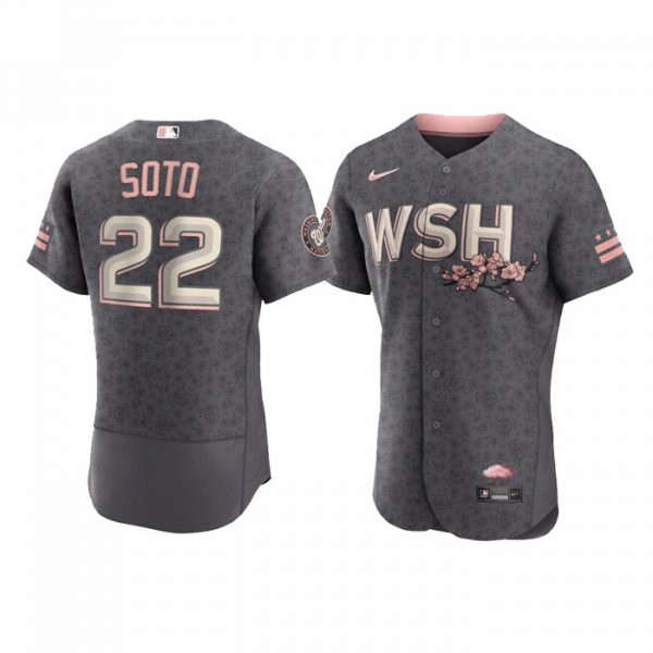 Personalized Men’s Flex Base Juan Soto Washington Nationals Gray 2022 City Connect Cherry Blossom Jersey