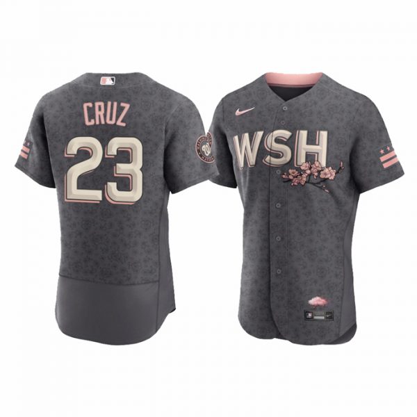 Personalized Men’s Flex Base Nelson Cruz Washington Nationals Gray 2022 City Connect Cherry Blossom Jersey