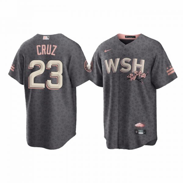 Personalized Men’s Cool Base Nelson Cruz Washington Nationals Gray 2022 City Connect Cherry Blossom Jersey