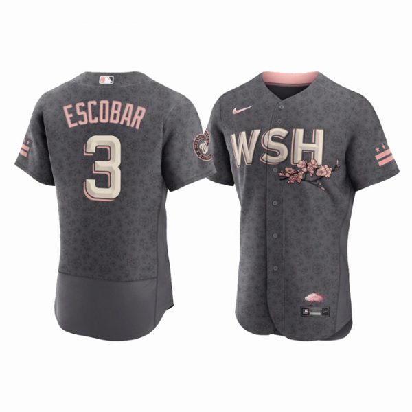 Personalized Men’s Flex Base Alcides Escobar Washington Nationals Gray 2022 City Connect Cherry Blossom Jersey
