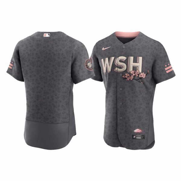 Personalized Men’s Flex Base Washington Nationals Gray 2022 City Connect Cherry Blossom Jersey