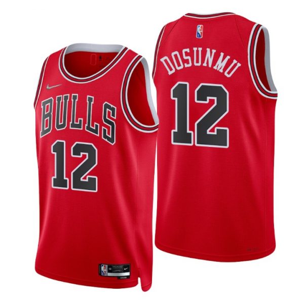 Personalized Men’s #12 Ayo Dosunmu Chicago Bulls 75th Anniversary Diamond Jersey